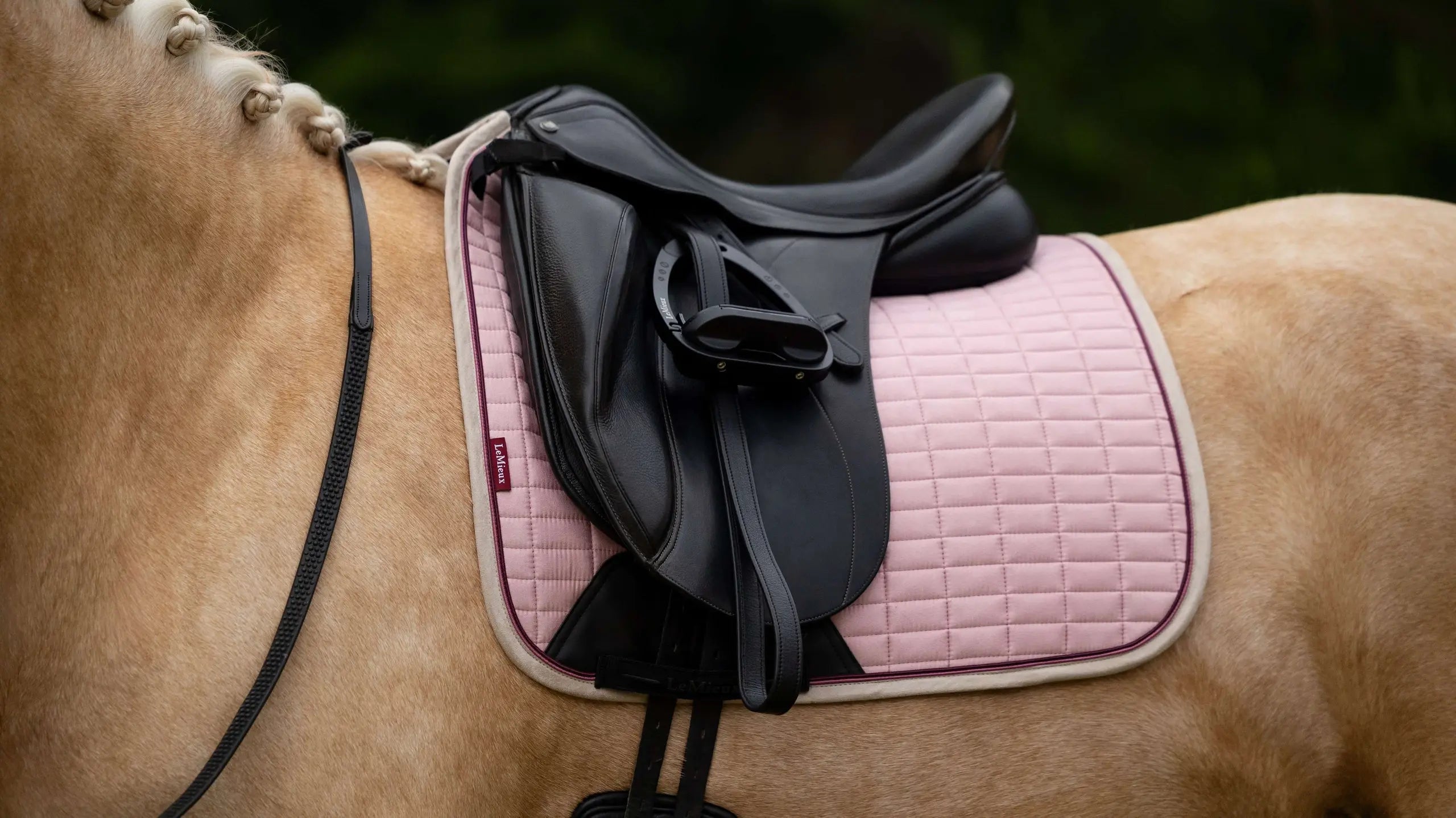 Lemieux Suede Dressage Square-Blossom