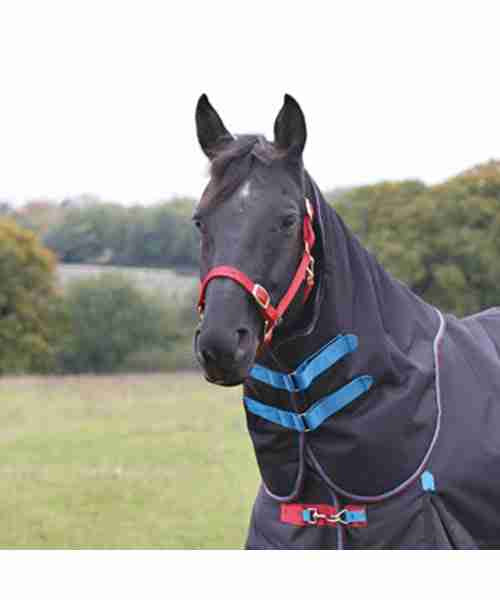 Shires Highlander Plus 1200D 200 gm turnout w.hood