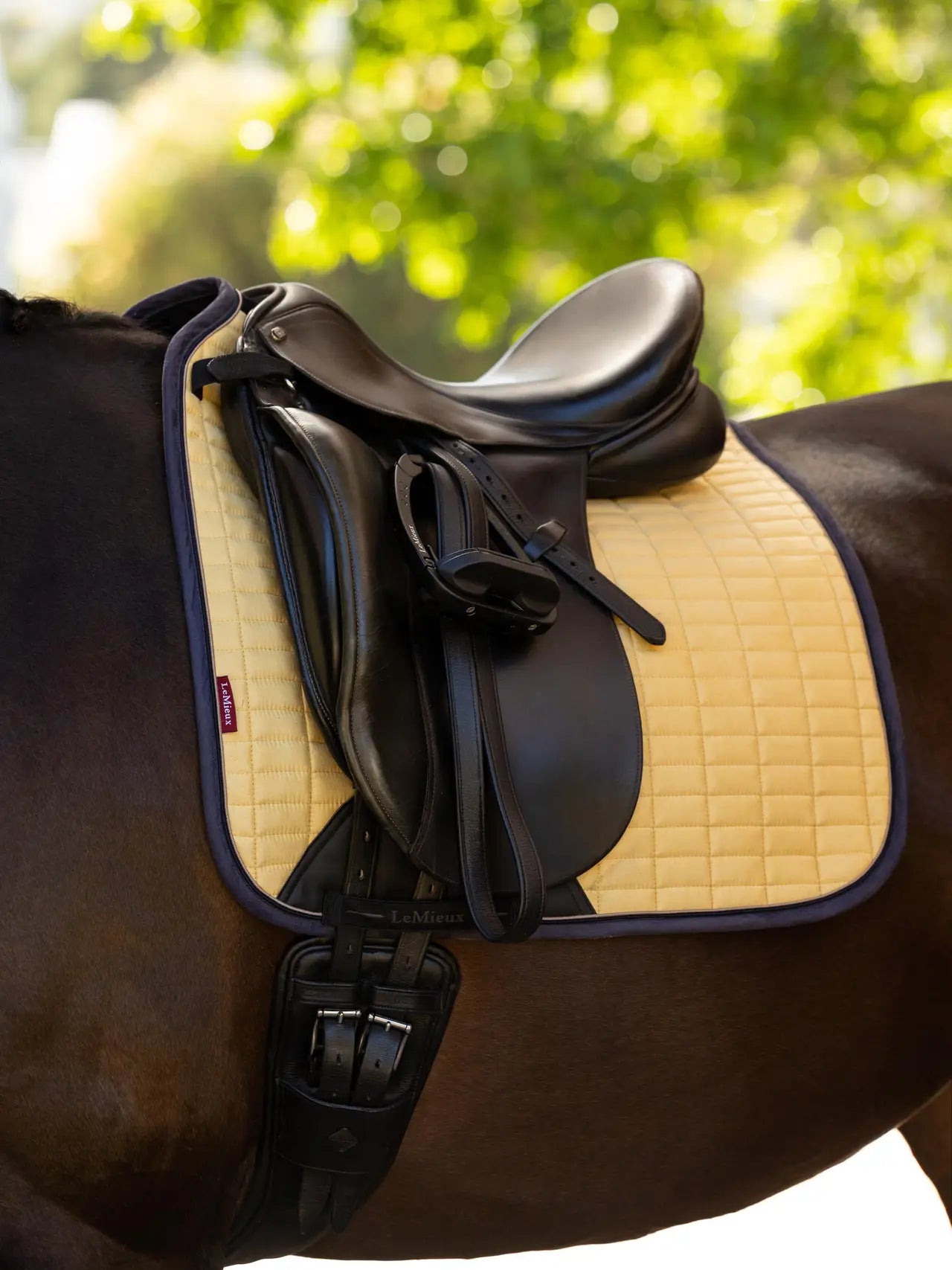 Lemieux Suede Dressage Square- Mimosa