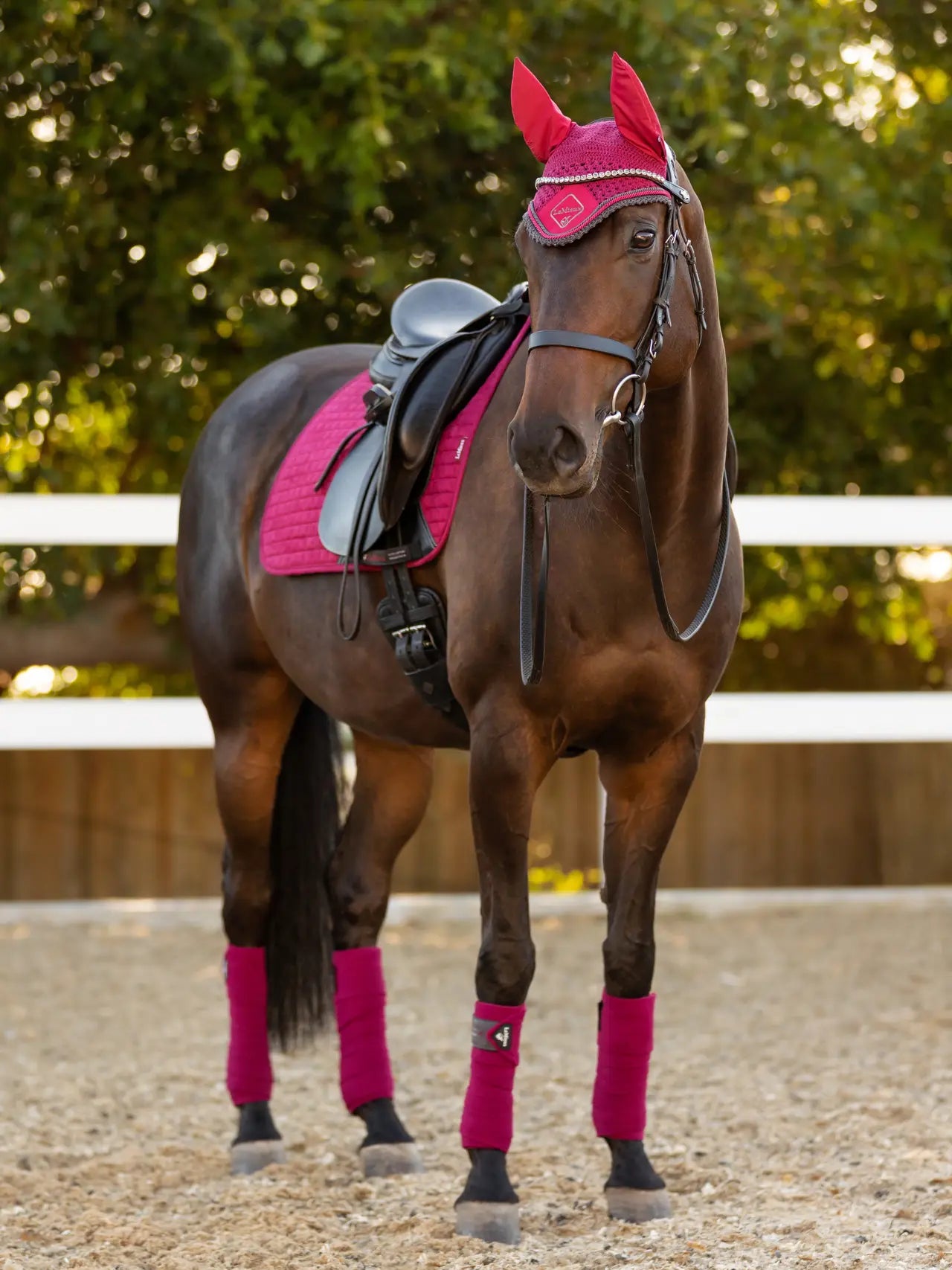 Lemieux Suede Dressage Square- Mulberry