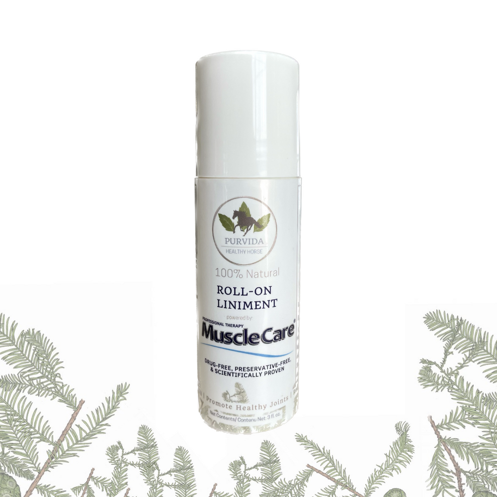 PurVida Horse Health-Roll on Liniment