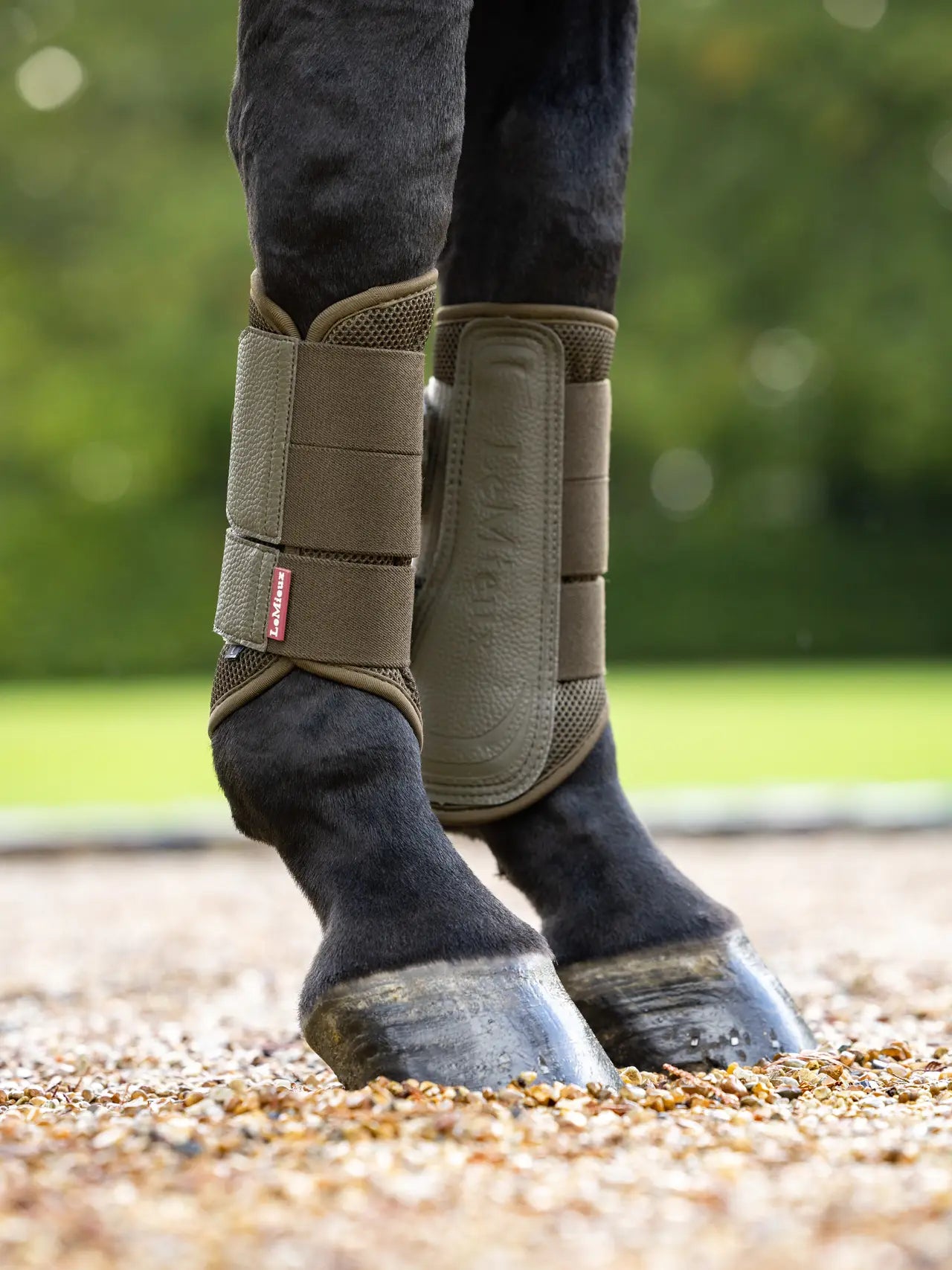 Lemieux Arika Mesh Brushing Boots- Alpine