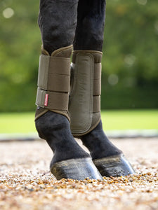Lemieux Arika Mesh Brushing Boots- Alpine