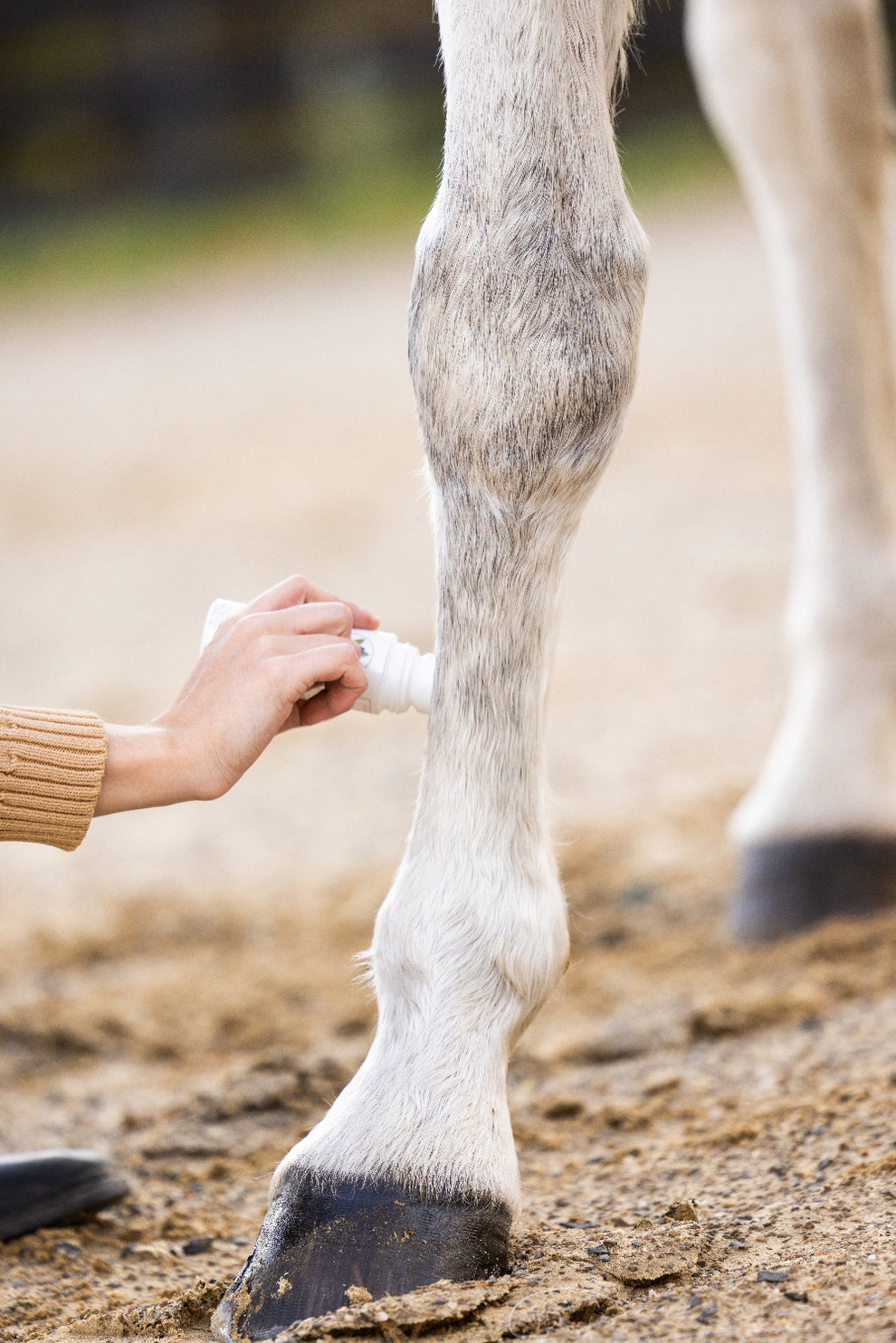 PurVida Horse Health-Roll on Liniment