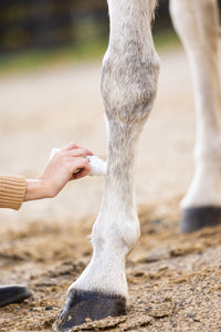 PurVida Horse Health-Roll on Liniment