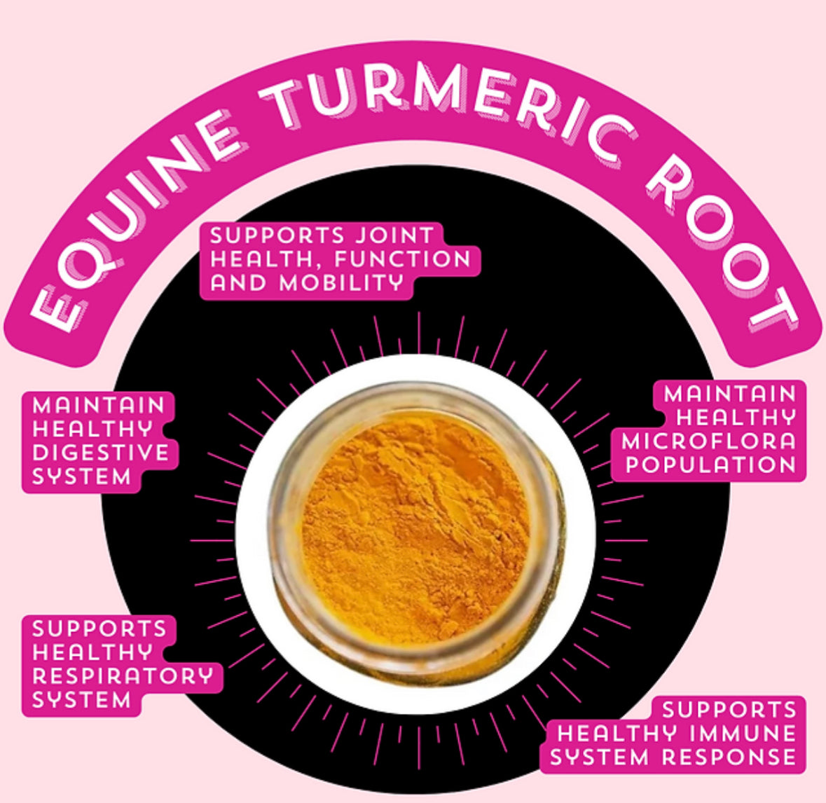 Trisana Nutrition Turmeric root