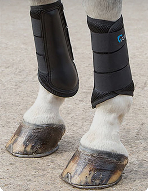 Shires brushing boots clearance