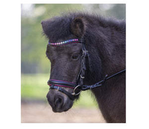 WH Pinky Star bridle- Pony