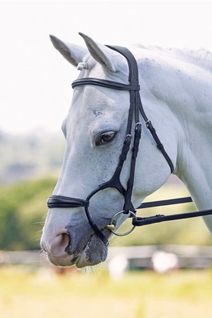 Shires Velocity Rapida bridle-Havana