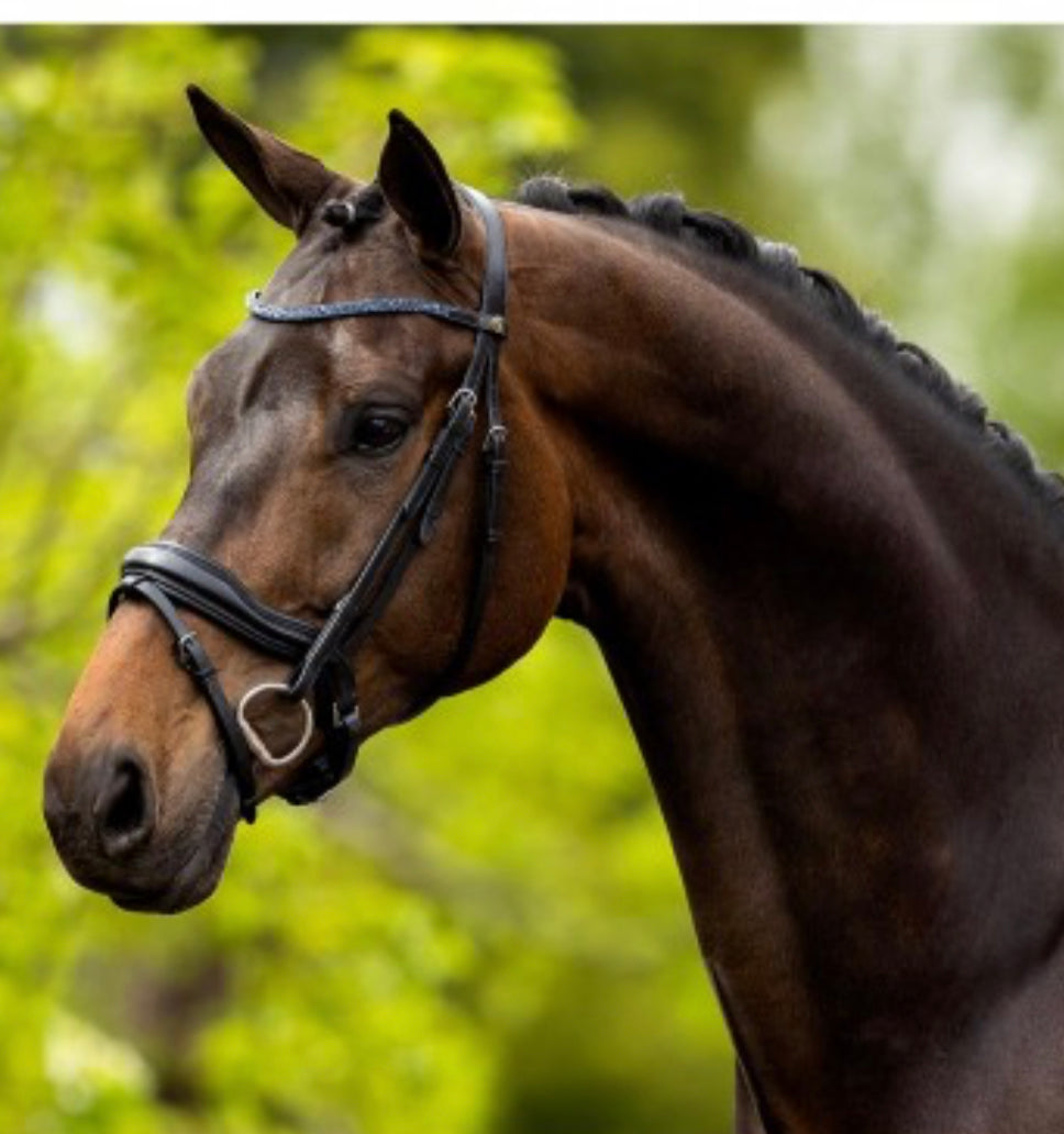 BR Newcastle anatomical bridle-Full