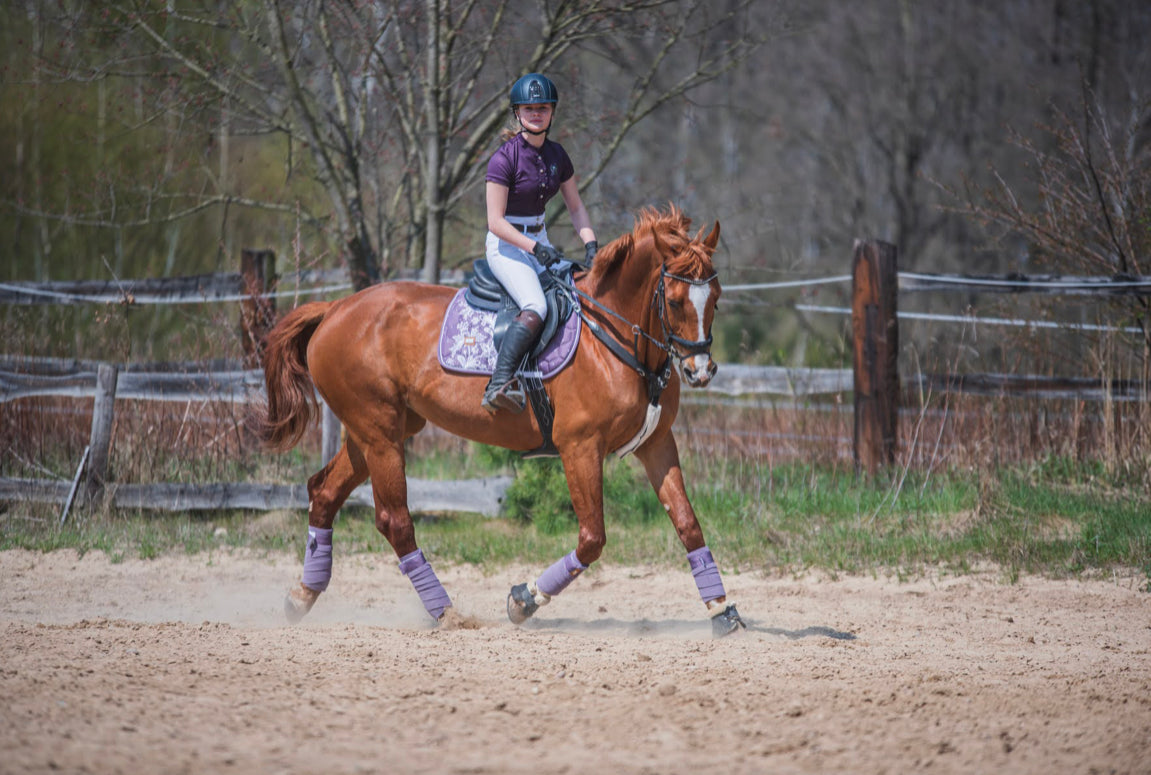 DotiBel Saddle pad Lilac&Lace