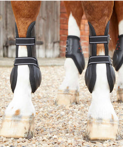 Premier Equine Kevlar Tendon boots