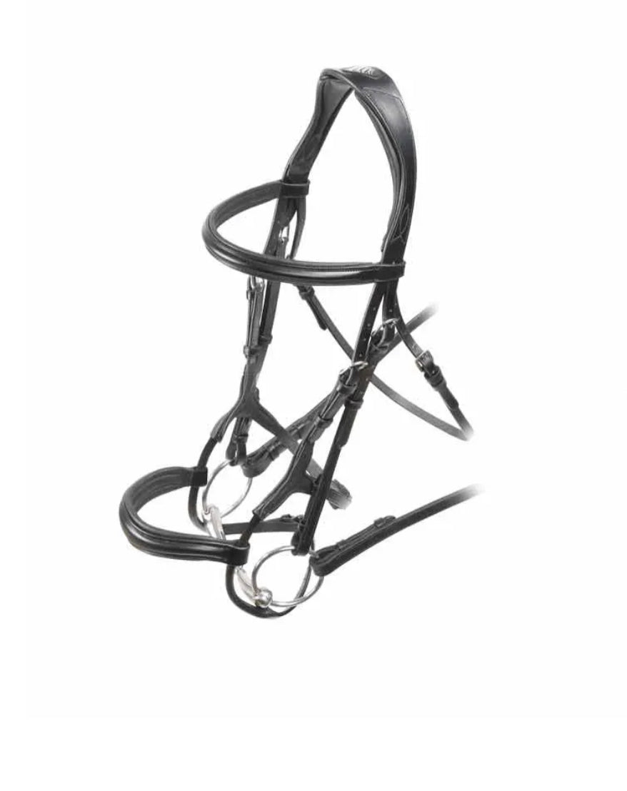 Shires Velocity Rapida bridle-Havana