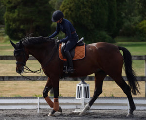 Saltaire Dressage pad- Various Colours