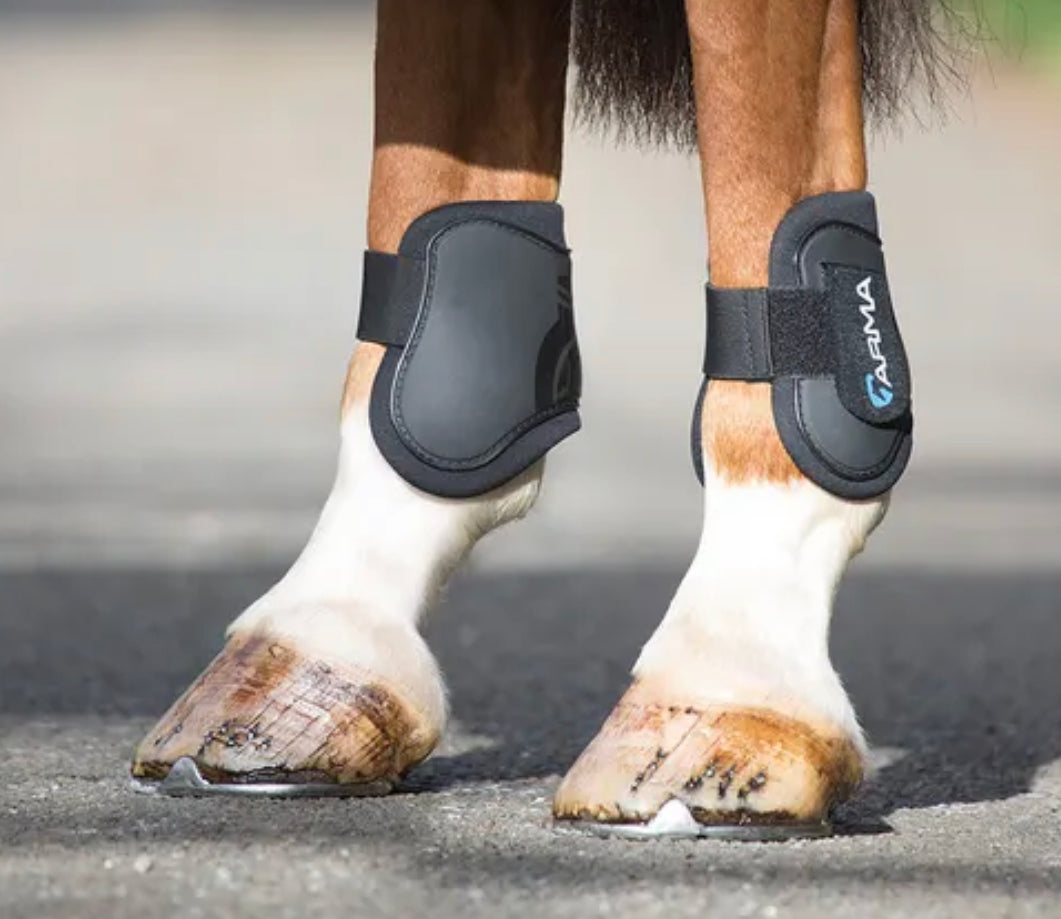 Shires Arma fetlock boots-Full